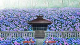 Kamiina Botan, Yoeru Sugata wa Yuri no Hana, EP 4 · 7:15 : Sanroku-tei (lieu réel)