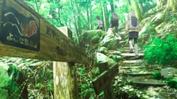 Kamiina Botan, Yoeru Sugata wa Yuri no Hana, EP 7 · 3:42 : Mont Bukō (lieu réel)