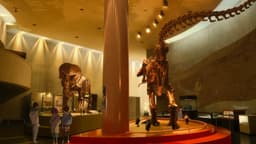 Make Heroine ga Oosugiru!, EP 12 · 10:34 : Toyohashi Museum of Natural History (lieu réel)