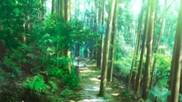 Kamiina Botan, Yoeru Sugata wa Yuri no Hana, EP 7 · 5:22 : Mont Bukō (lieu réel)